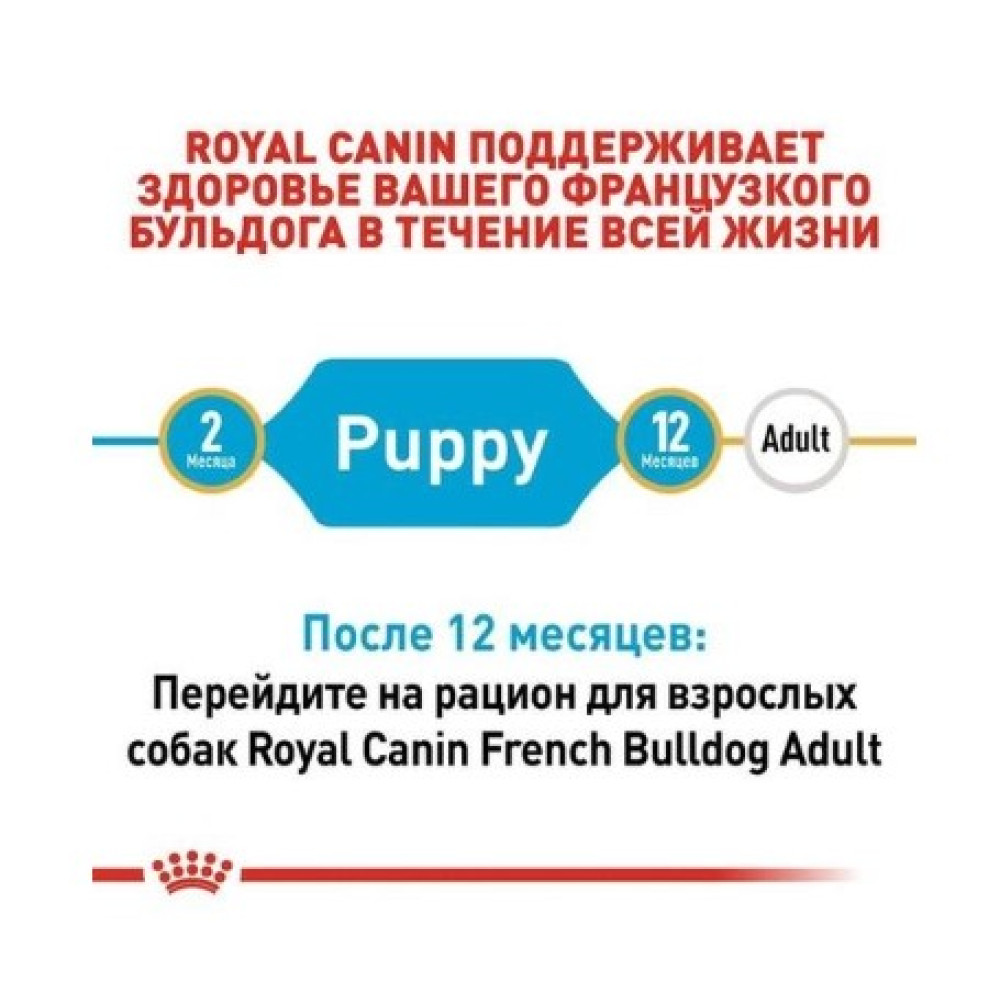 Сухий корм Royal Canin French Bulldog Puppy для цуценят породи французький бульдог від 2 до 12 міс.,1 кг