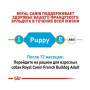 Сухий корм Royal Canin French Bulldog Puppy для цуценят породи французький бульдог від 2 до 12 міс.,1 кг