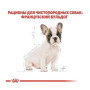 Сухий корм Royal Canin French Bulldog Puppy для цуценят породи французький бульдог від 2 до 12 міс.,1 кг