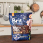 Сухой корм Brit Premium Dog Adult M для взрослых собак средних пород со вкусом курицы 1 кг