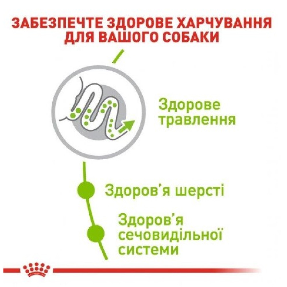 Сухой полнорационный корм для взрослых собак миниатюрных пород  Royal Canin X-Small Adult от 10 мес. до 8 лет 500 (г)