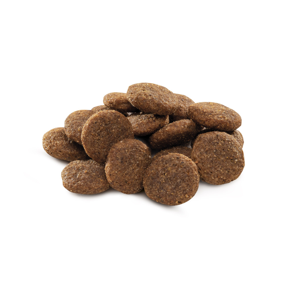 Сухий корм Brit Premium Dog Adult L для дорослих собак великих порід з мʼясом курки 3 кг