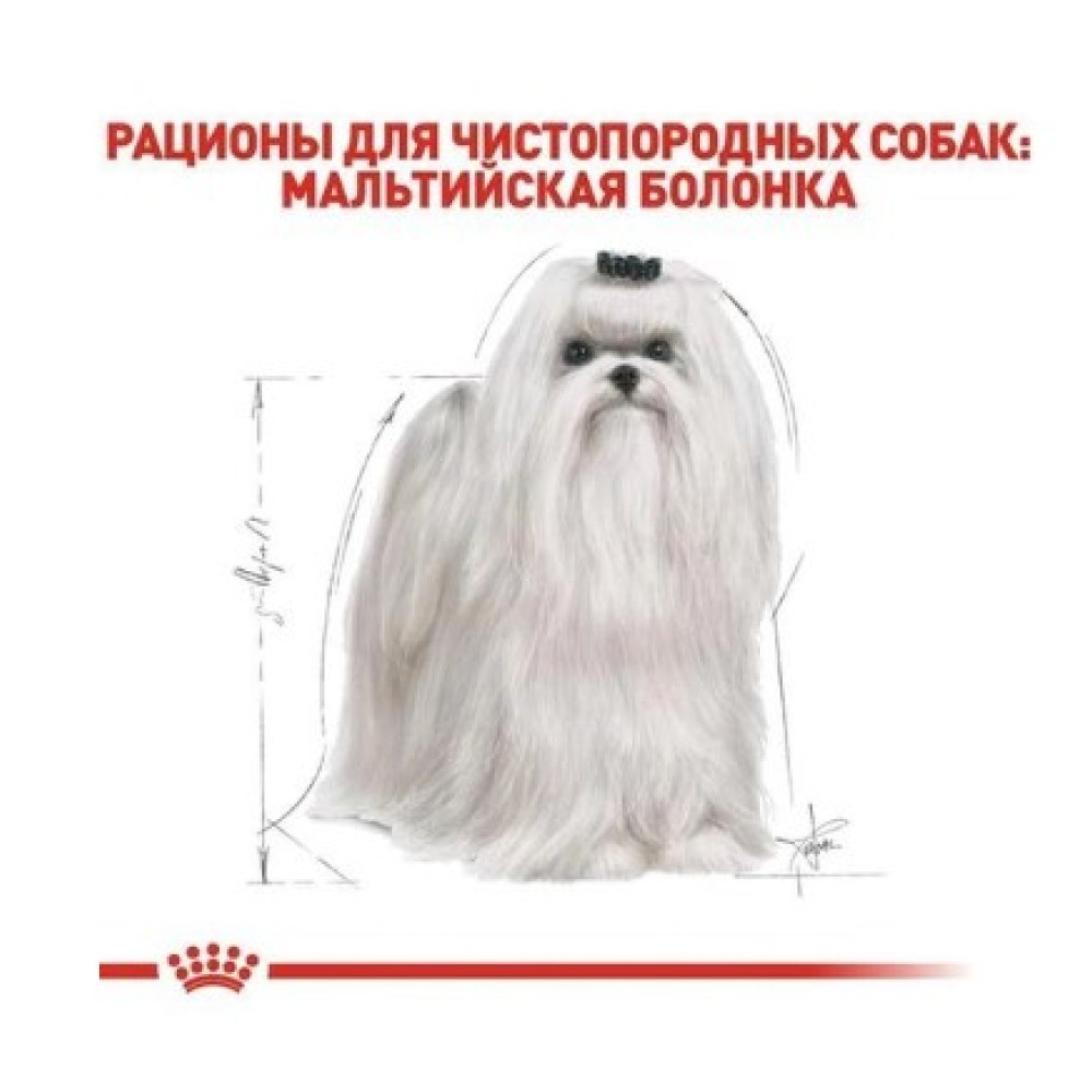 Сухой корм Royal Canin Maltese Adult  для собак породи мальтезе от 10 месяцев 500 (г)