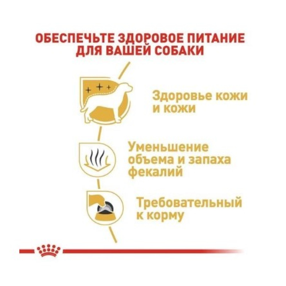 Сухой корм Royal Canin Maltese Adult  для собак породи мальтезе от 10 месяцев 500 (г)