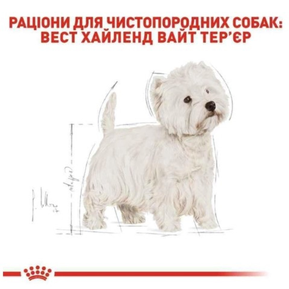 Сухий корм Royal Canin West Highland White Terrier Adult для дорослих собак породи вест-хайленд-уайт-тер'єр, 3 кг