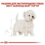Сухой корм Royal Canin West Highland White Terrier Adult для взрослых собак породы вест-хайленд-уайт-терьер, 3 кг