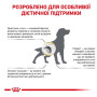 Сухий корм для собак Royal Canin Urinary S/O Canine при захворюваннях сечовивідних шляхів 2 (кг)