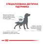Сухий корм для собак Royal Canin Anallergenic при харчовій алергії 3 (кг)