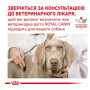 Сухой корм для собак Royal Canin Anallergenic при пищевой аллергии 3 (кг)
