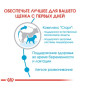 Сухий повнораціонний корм Royal Canin Mini Starter для цуценят і лактуючих собак міні порід 1 (кг)