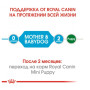 Сухой полнорационный корм Royal Canin Mini Starter для щенков и кормящих собак мини пород 8 (кг)