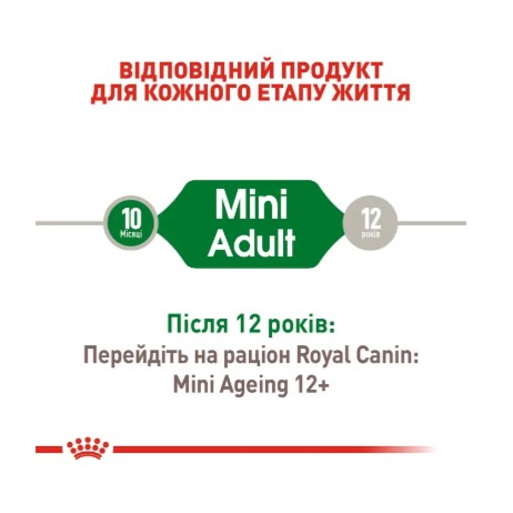 Влажный корм Royal Canin Mini Adult для взрослых собак мелких пород, 12х85 г