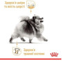 Вологий корм Royal Canin Pomeranian Adult для собак породи шпіц померанський, 12×85 г