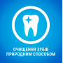 Палочки для здоровья зубов у собак малых пород Purina Pro Plan DentaLife Small 115 г (7 шт)