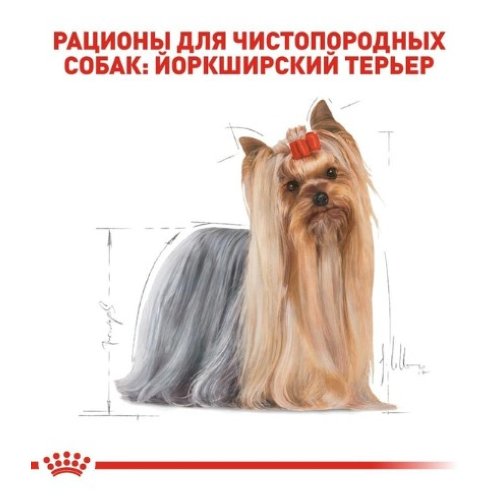 Влажный корм Royal Canin Yorkshire Terrier Adult  для взрослых собак породы йоркширский терьер, 12х85 г 