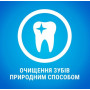 Палочки для здоровья зубов у собак средних пород Purina Pro Plan DentaLife Medium 115 г (5 шт)