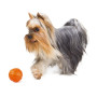 Іграшка для собак Collar М'яч «Liker 7» (Лайкер) 7 см