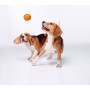 Игрушка для собак Collar Мяч «Liker 7» (Лайкер) 7 см