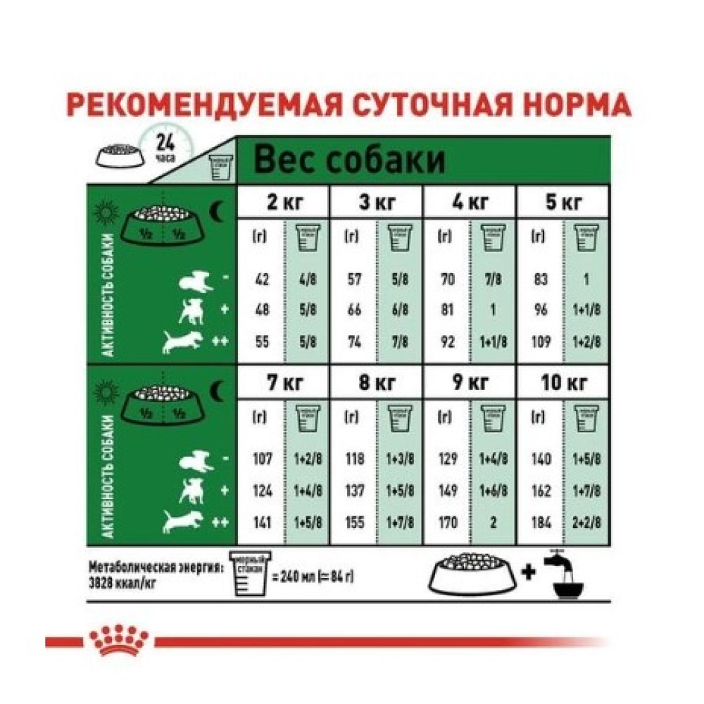 Сухий повнораціонний корм Royal Canin Mini Ageing 12+ - для собак малих порід старше 12 років, 800 г