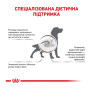 Сухой корм для собак Royal Canin Gastrointestinal Canine при заболеваниях желудочно-кишечного тракта 15 (кг)