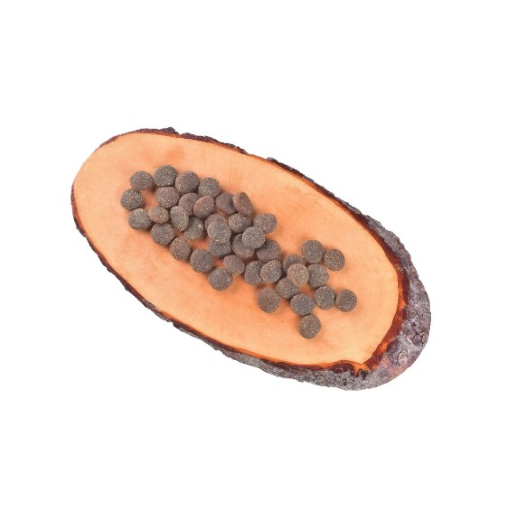 Сухий корм для дорослих собак усіх порід Carnilove True Fresh TURKEY for Adult dogs 4 кг (індичка)