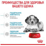Сухий корм Royal Canin Medium Puppy для цуценят середніх порід 1 (кг)