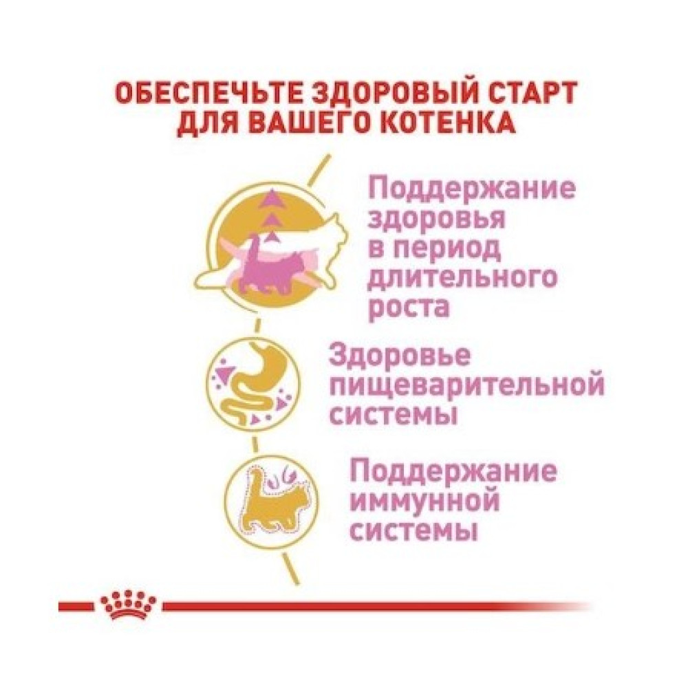 Cухой корм Royal Canin Maine Coon Kitten для котят породы мэйн кун до 15 месяцев  400 (г)