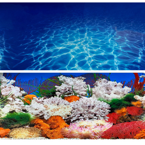 Фон для аквариума Marina двусторонний океан/кораллы 10 x 60 см