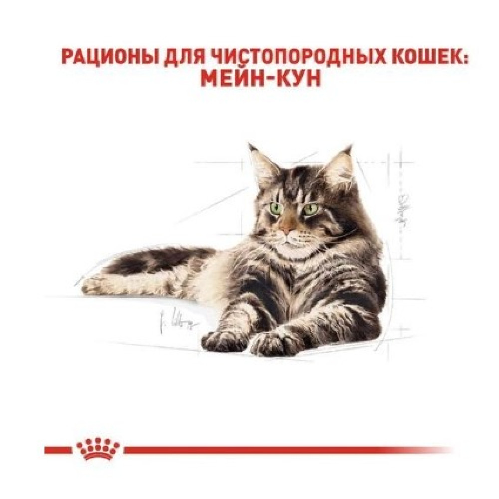 Сухой корм Royal Canin Maine Coon Adult  для взрослых кошек породы мейн кун от 15 мес. 10 (кг)