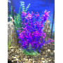 Штучна рослина для акваріума Р037303-30 см