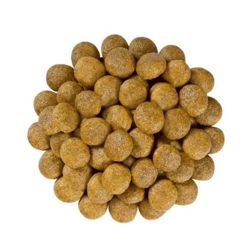 Лікувальний сухий корм Royal Canin Renal Feline для дорослих кішок з нирковою недостатністю 4 (кг)