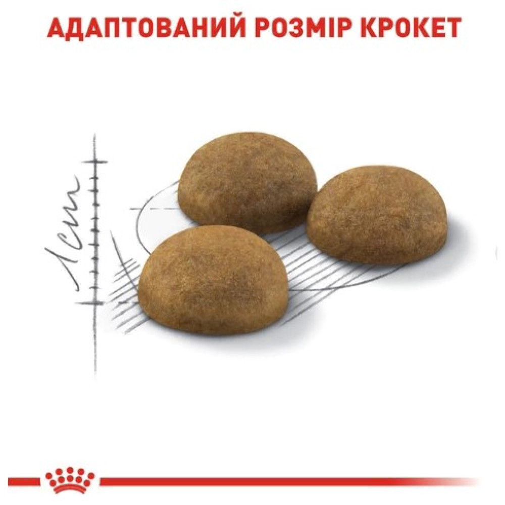 Сухой корм Royal Canin INDOOR LONG HAIR для домашних длинношерстных кошек, 2 кг