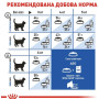 Сухий корм Royal Canin INDOOR LONG HAIR для домашніх довгошерстих кішок, 2 кг