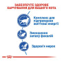 Сухий корм Royal Canin Indoor 7+ для котів, що живуть у приміщенні 3.5 кг