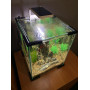 Аквариумный набор ZooCooL "Cube Star Set", куб с оборудованием для мелких рыбок и креветок 300-300-350 (30л) 4 мм