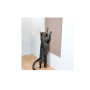 Кігтіточка Trixie настінна з котячою м`ятою XXL 50 см /70 см (сіро-коричнева)