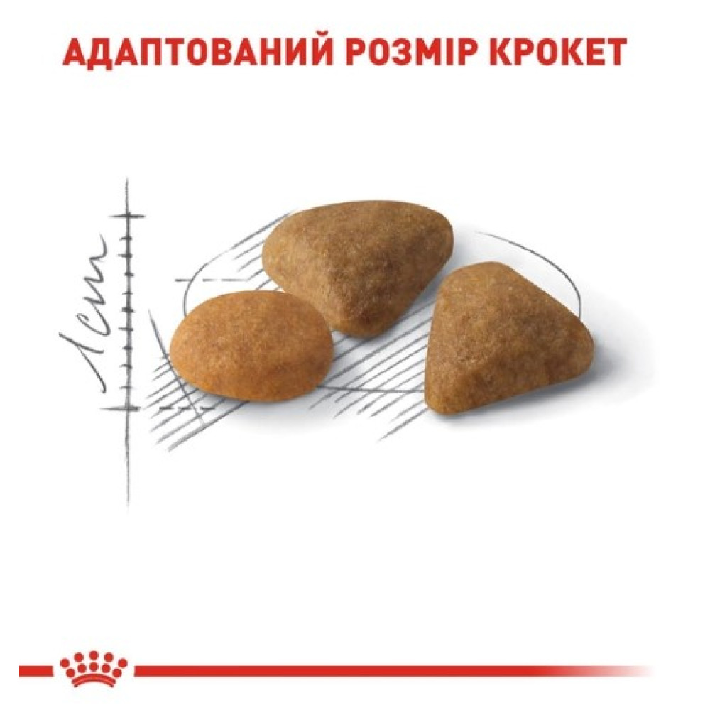 Сухой корм Royal Canin EXIGENT SAVOUR для взрослых кошек привередливых в питании  10 (кг)