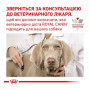 Влажный корм для собак Royal Canin Hepatic Canine Cans при заболеваниях печени 420 г