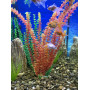 Штучна рослина для акваріума Р925433-50 см