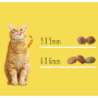 Сухой корм для стерилизованных кошек Friskies с лососем, тунцом и овощами 1.5 (кг)