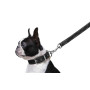 Повідець для собак Collar Dog Extremе 122 см 14 мм Чорний