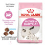 Сухой корм Royal Canin Mother and Babycat для котят от 1 до 4 мес. и кошек в период беременности и лактации 2 (кг)