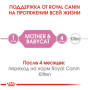 Сухой корм Royal Canin Mother and Babycat для котят от 1 до 4 мес. и кошек в период беременности и лактации 400 (г)