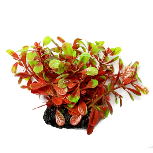 Штучна рослина для акваріума Р220081-6 см