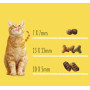 Сухий корм для кішок Friskies з куркою, яловичиною та овочами 10 кг