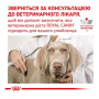 Вологий корм для собак та кішок у період реабілітації Royal Canin Recovery 195 г