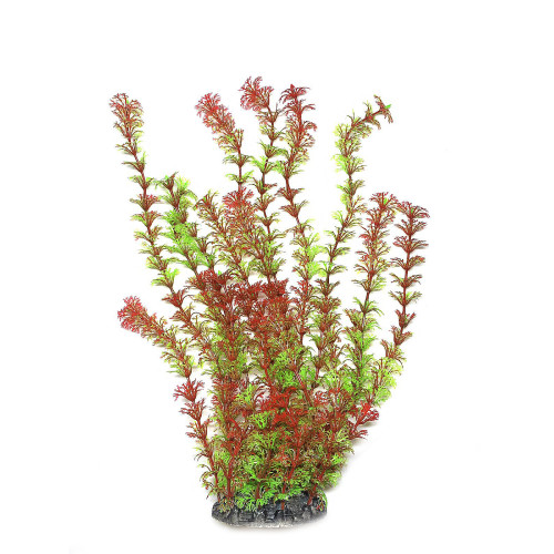 Искусственное растение для аквариума Aquatic Plants "Ambulia" красно-зеленое пышное 40 см