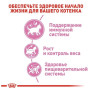 Сухой корм Royal Canin KITTEN STERILISED для стерилизованных котят 2 (кг)
