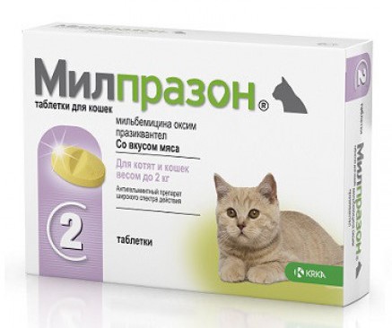 Купить Антигельминтный препарат Gigi МильбеПет для котят и кошек до 2кг ...