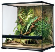 Террариумы купить в Киеве, Запорожье, Харьков низкие цены - оперативная ...